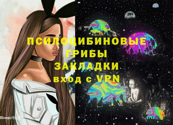 индика Белокуриха