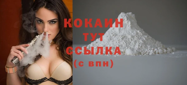 эйфоретик Богданович