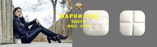 индика Белокуриха