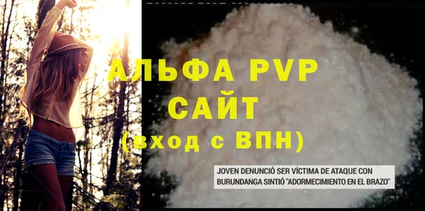эйфоретик Богданович