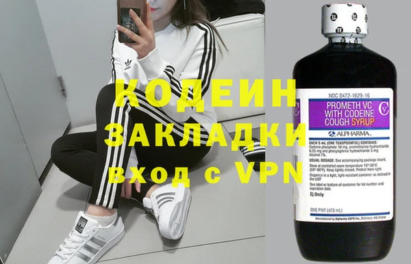индика Белокуриха